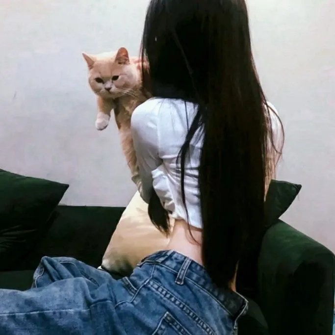 好莱坞结局